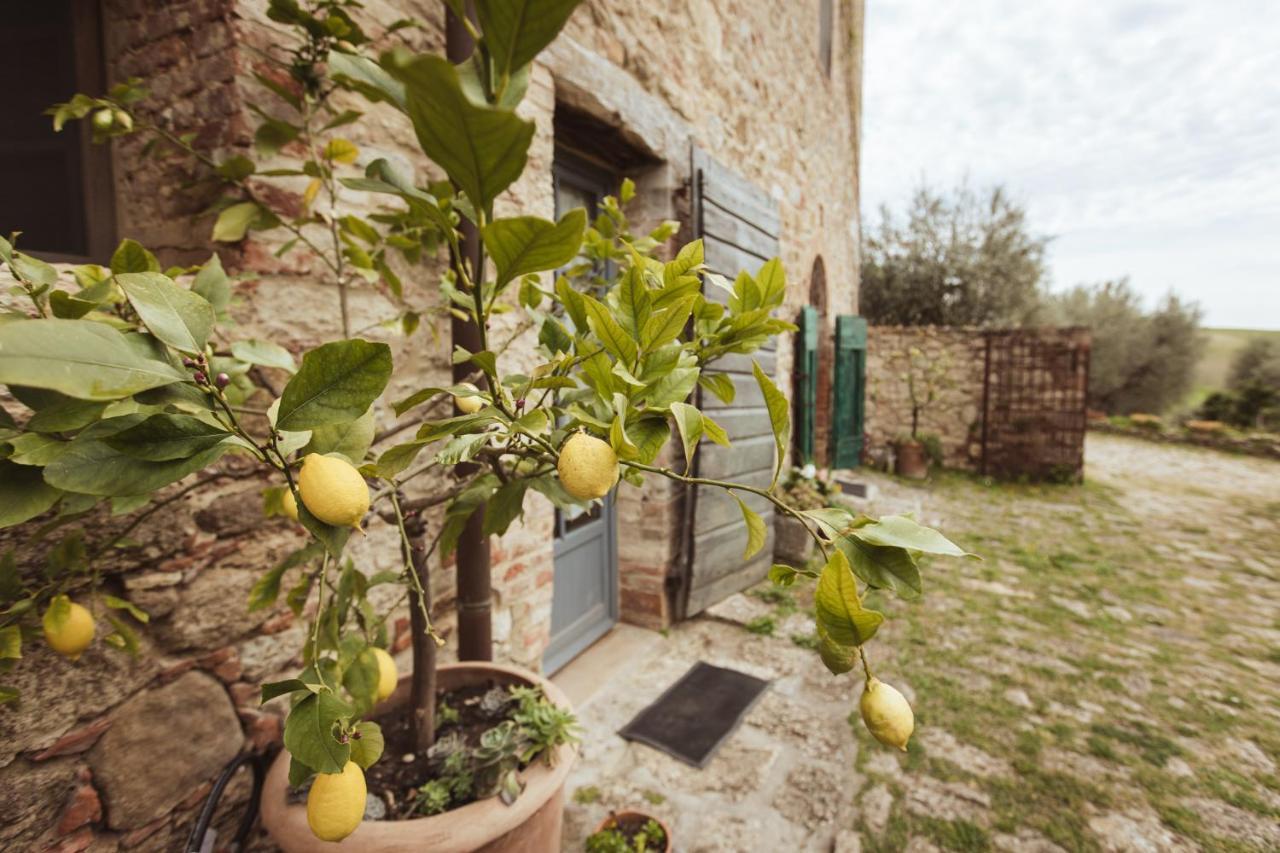 Podere Spedalone Pienza Eksteriør billede