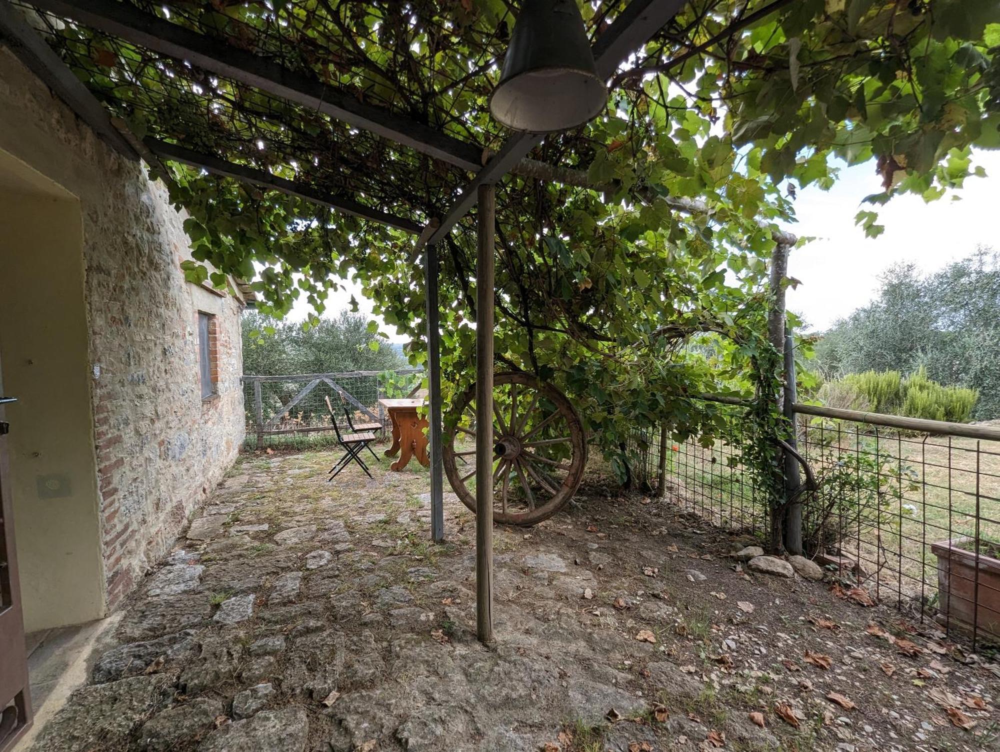Podere Spedalone Pienza Eksteriør billede