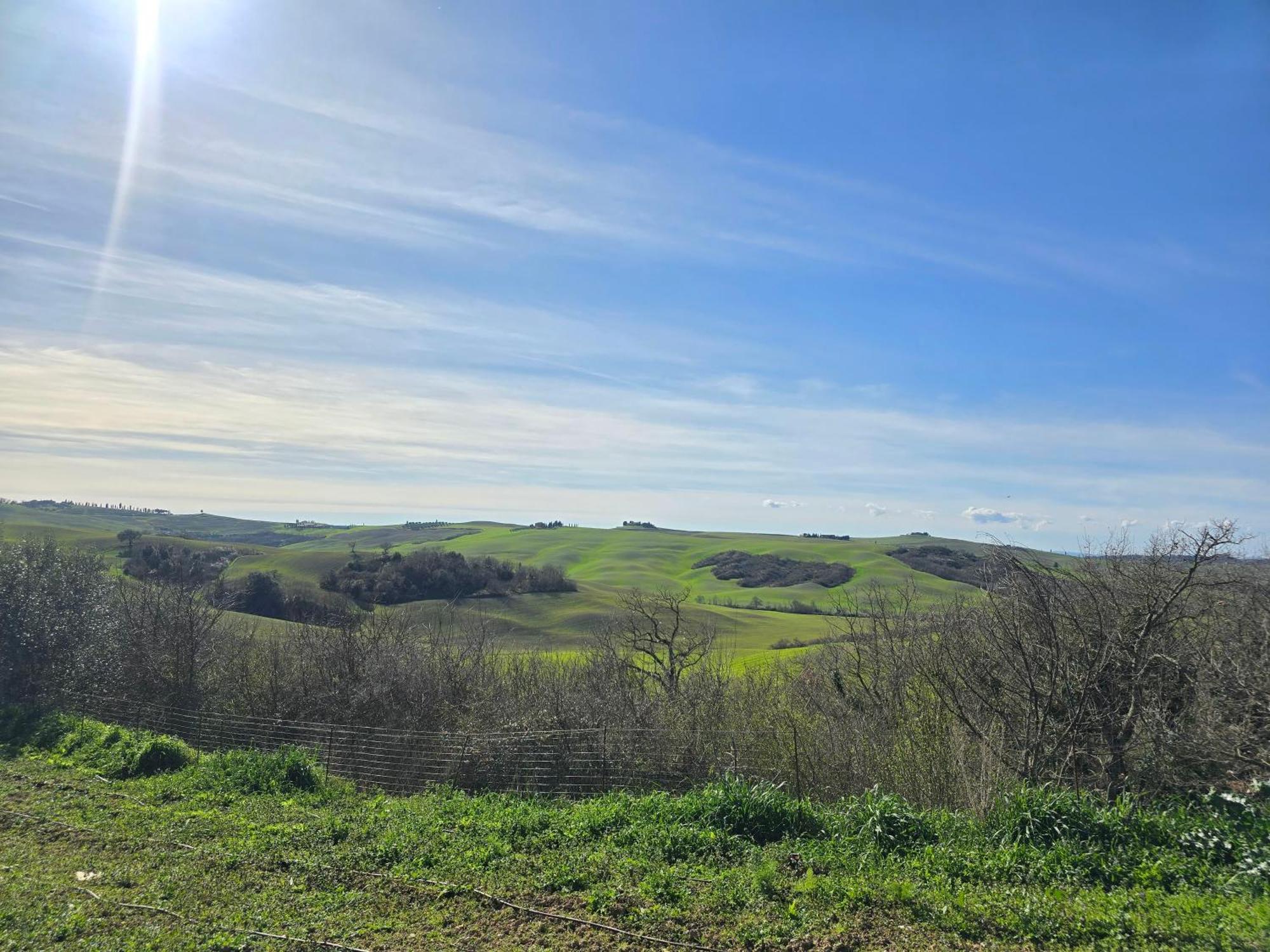 Podere Spedalone Pienza Eksteriør billede