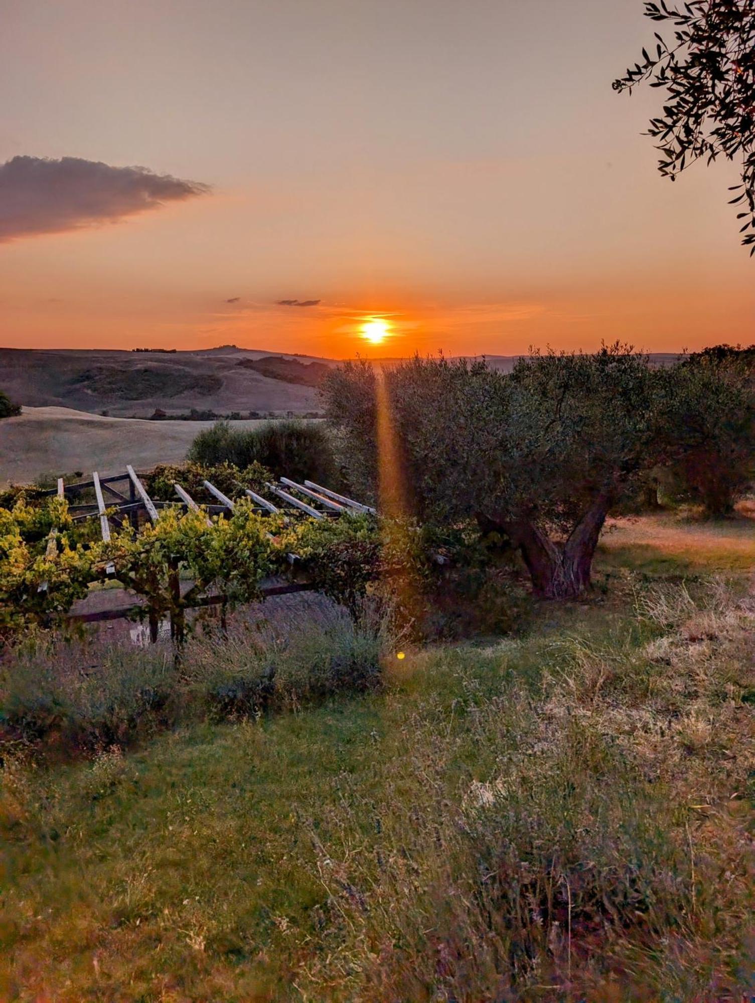 Podere Spedalone Pienza Eksteriør billede