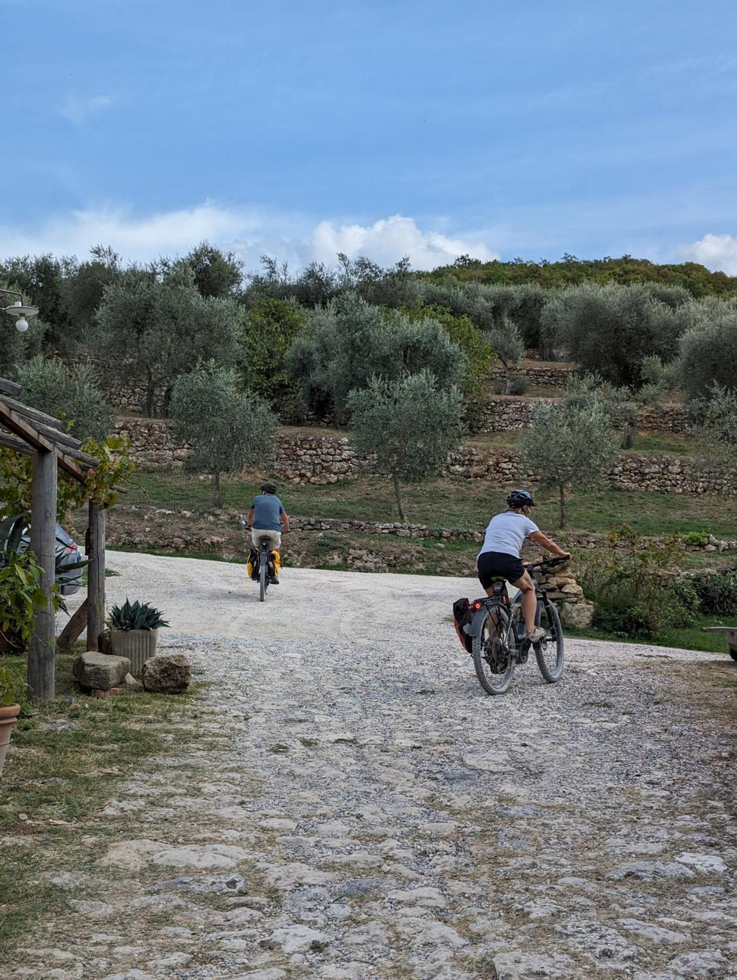 Podere Spedalone Pienza Eksteriør billede